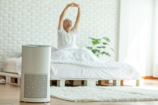 Air Purifying Fans