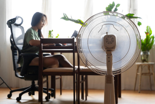 How to Choose the Best Type of Fan for Your Home
