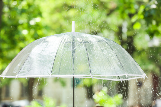 Rainy Season in Singapore: How to Stop Your Home Feeling Damp All Week