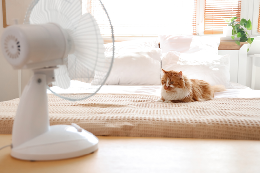 What Can You Use Climate Vouchers on at NNIO? DC Fans and Air Coolers Explained