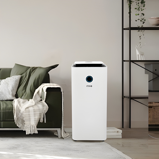 Top Reasons to Invest in a Dehumidifier for Singapore’s Humid Climate