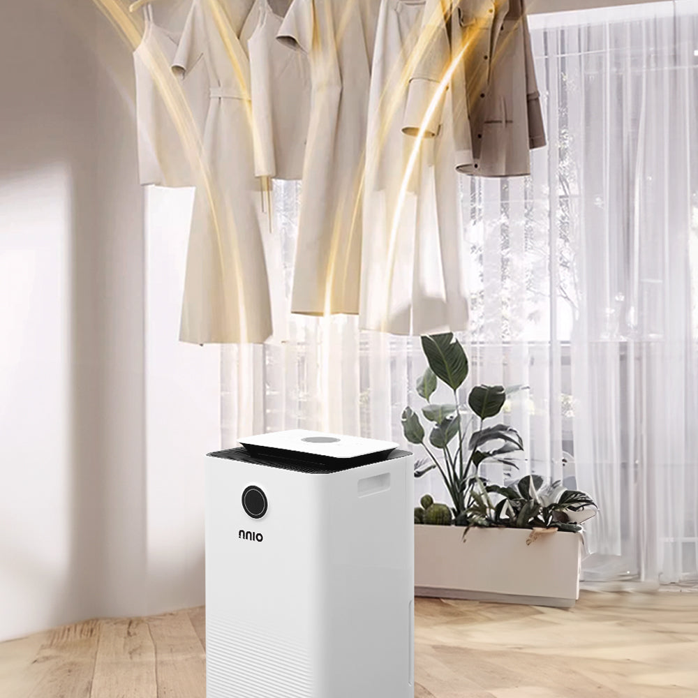 dehumidifier drying laundry